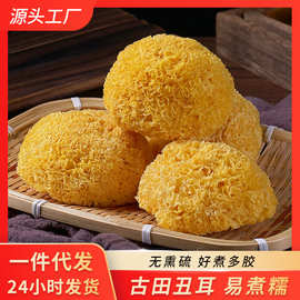 甄选好货古田丑耳糯耳胶质多朵形好菌菇滋补百合煲汤滋养枸杞