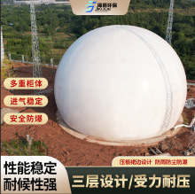 工业10~5000方双膜储气柜 养殖猪场沼气柜 污水处理厂双膜储气柜