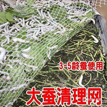 �Q���������W��ɳ�Wȥɳ�W�B�Q�����坍�W��ρ�W��С�Q�W�Vɳ�W
