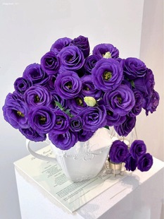 ����S��朡��o��õ����۹��r���r�л��҃�ˮ����û��廨�k����