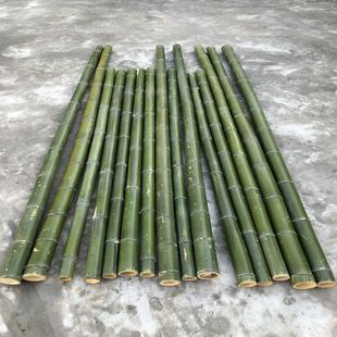 竹杆大竹竿/大粗竹子/长竹竿竹竿粗大毛竹搭架跳舞竹竿子厂家批发-阿里巴巴