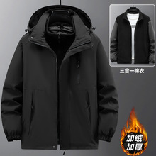 ӽqӺһ¿ӷʼӴɷ_ɲжˮ⹤b