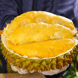 枇杷;柑桔;释迦