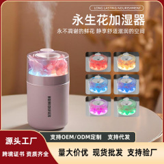 跨境2025新款永生花加湿器大雾量便携车载补水小型加湿器创意礼品