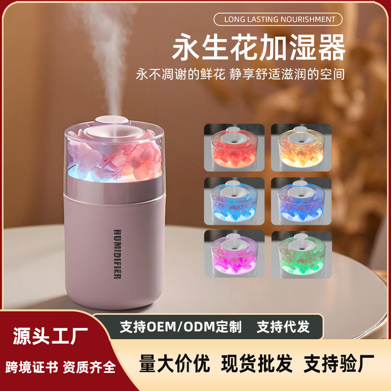Cross-Border 2025 New Eternal Flower Humidifier with Large Mist Output, Portable Car-Mounted Hydrating Small Humidifier, Creative Gift