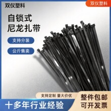 钢带扎丝电线尼龙扎带束线带捆扎带自锁式塑料防火94V-2