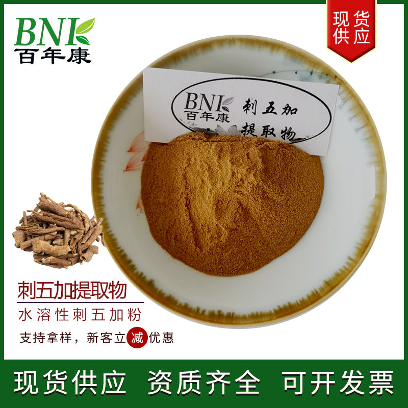 保健食品化妆品原料刺五加粉 水溶刺五加浸膏粉 10:1刺五加提取物