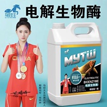 马印天王电解生物酶鱼缸净化水质分解氨氮水族用品空气缸硝化活菌