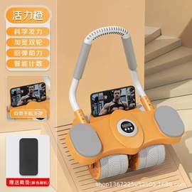 其他健身器材;健腹器;拳击用品