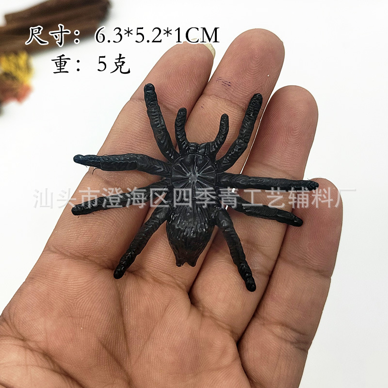 6.3cm spider