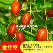 �޽��½�z4̖����������ִ���̖С��������ϱ���ͥԺ���Ե���