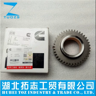 Hubei Tuozhi Provides QSM11,ISM11,m11 Engine 3038996 Idler Gear Assembly (Flywheel/Gear)