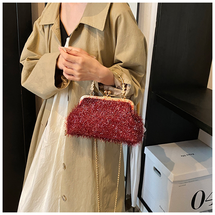 A trendy and fashionable women's 2024 autumn new chain crossbody bag, a Korean-style hand-held shell bag undefined