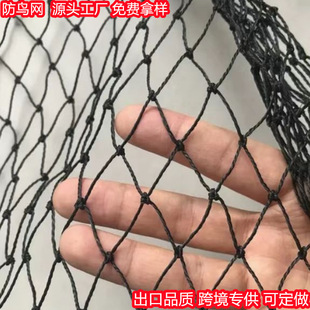 ���w�S��ɫ�Gɫ��ɫ2���׿�5���׿׷��B�W��������ȸ�W���@���o�W