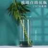 Jingjian's mouth diameter is 15cm, and her chest is 35cm (thick)