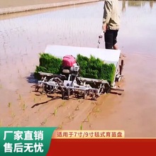 2024ȫ�¸Ŀ��ַ�ʽˮ������Խ�Ͽ��yʽ���ٲ���C��������