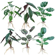 ֲ��Gֲ�ٻ��҃��b���ˮ��ٲ������͏dֲ��[�����~��