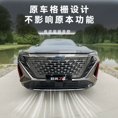 Automobile anti-insect net front bumper radiator protection net