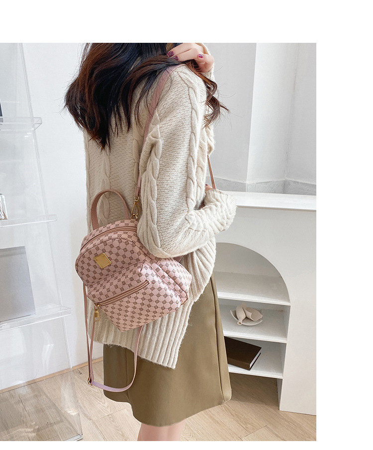 Foreign Trade Wholesale Backpack Women's Small Size  New Bags Fashion Minority Design Bag Women's Single-shoulder Bag display picture 17