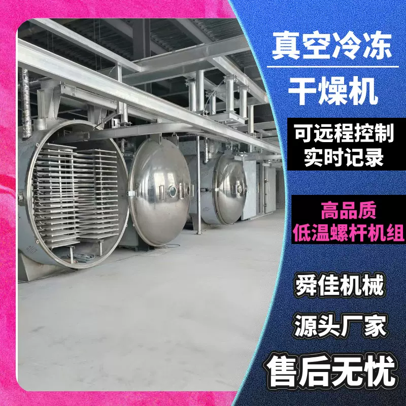 大型真空冻干机果蔬冷冻真空干燥机冻干机定制加工设备