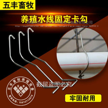 PVC PE水管固定卡勾养殖水线卡扣兔鸡用6分4分饮水器水管钢丝卡子