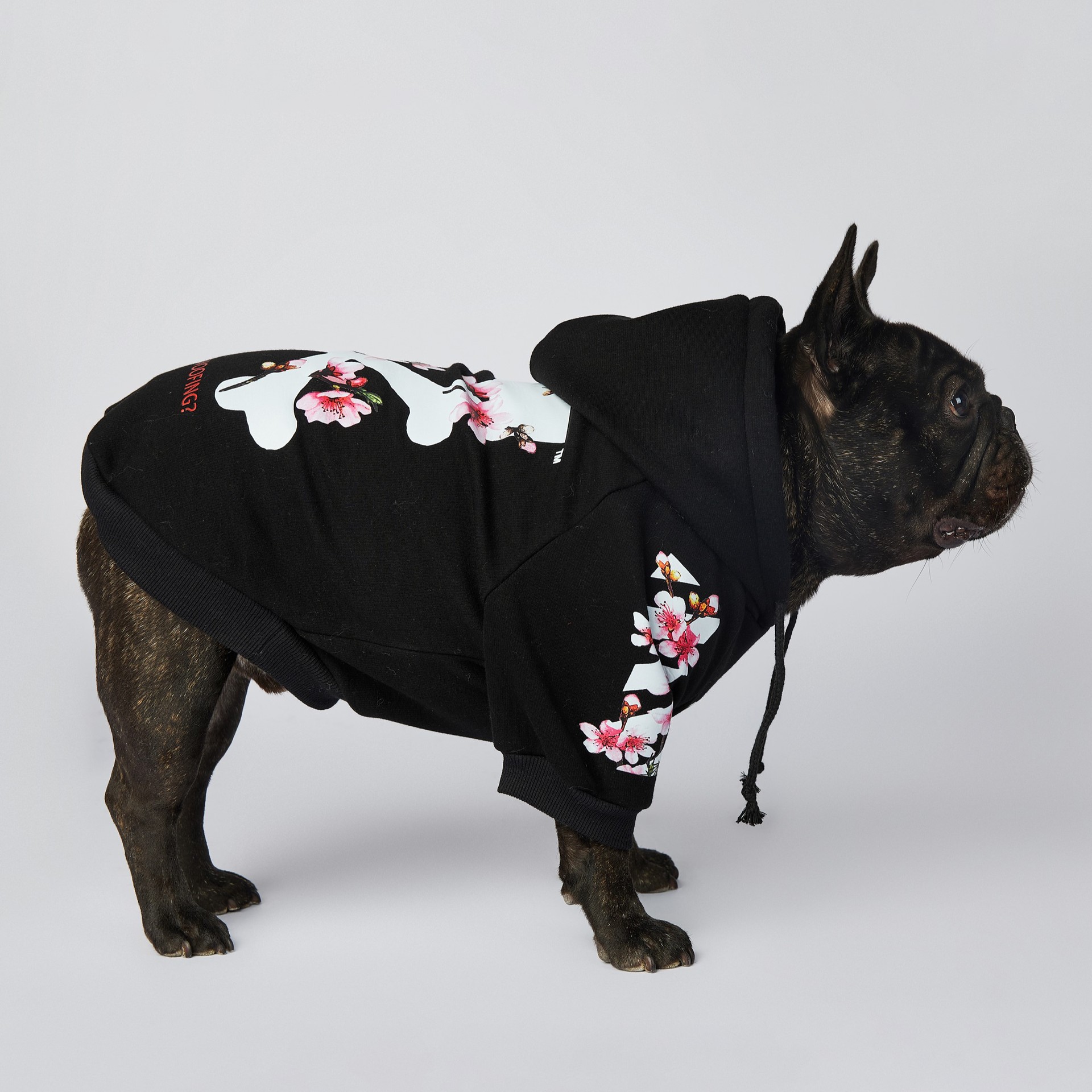 WOOF柯基雪納瑞法斗寵物潮牌ins狗狗衛衣惡搞秋冬運動狗衣服