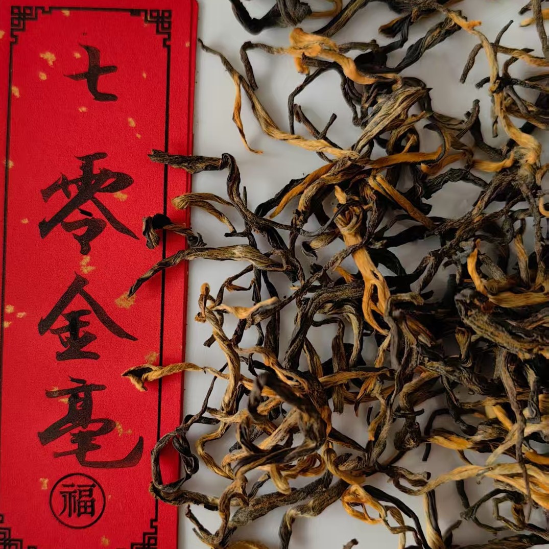 핫 70 진하오 샘플 20g