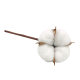 Cotton Dried Flower bouquet wholesale eternal flower decoration shooting props simulation flowers DIY Christmas color cotton dried flowers