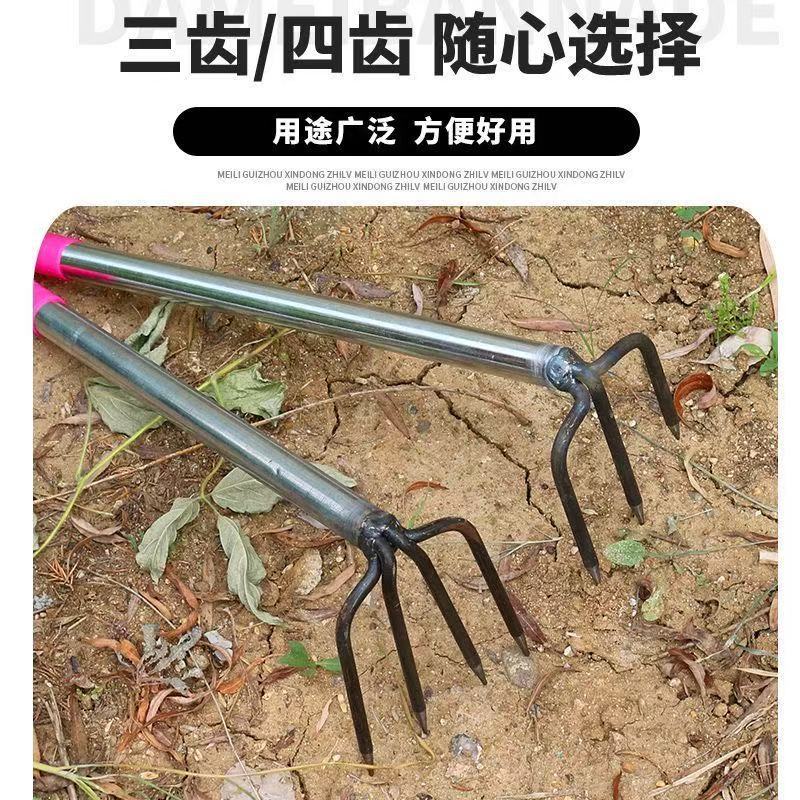 微信图片_20250507082612.jpg