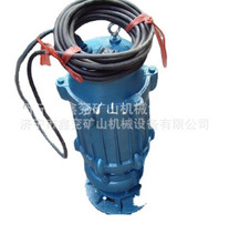 潜水排污泵,潜水排污泵特点,潜水排污泵价格,水利机械