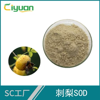 刺梨SOD 1w活性 刺梨提取物 超氧化物歧化酶 慈缘工厂现货批发