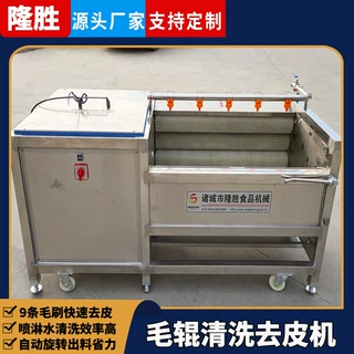 毛辊去杂清洗机 不锈钢猪蹄脱皮清洗机 羊蹄子毛辊去泥清洗机器
