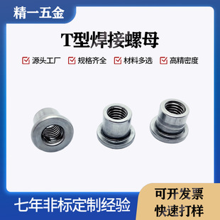 T�ͺ�����ĸ̼䓷��m������ĸ���i�B����ĸ�Ҿߺ�����ĸ���