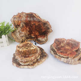 厂家批发天然木化石切片树化玉原石摆件家居办公茶杯垫水晶工艺品