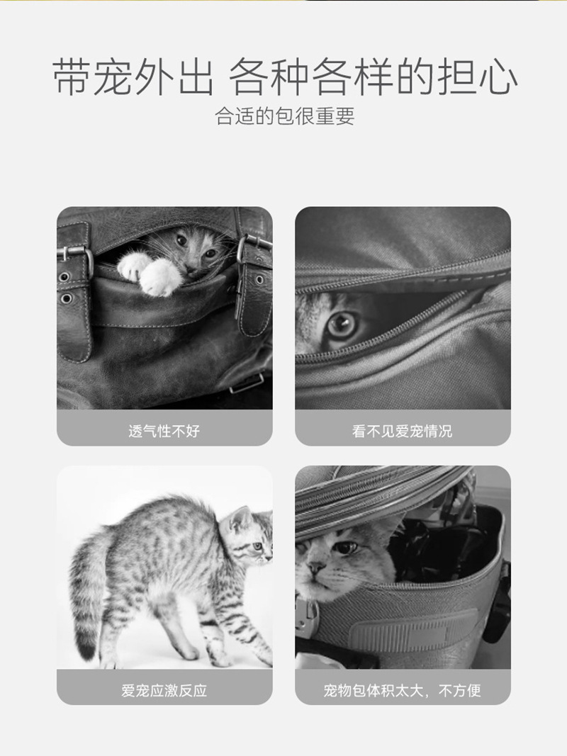 详情2.jpg
