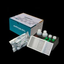 �����˾S����ԇ���зǷ����әz�y���Ĳ�Դ�~������ͬҎ��ֱ�N