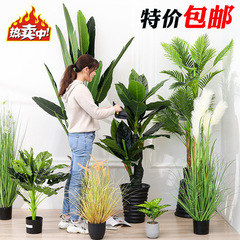 シミュレーションの木は緑を植えて鉢植えの室内の大型の植物を植えて偽の木の置物の天国の鳥の旅人のバナナの卸売りを飾ります。