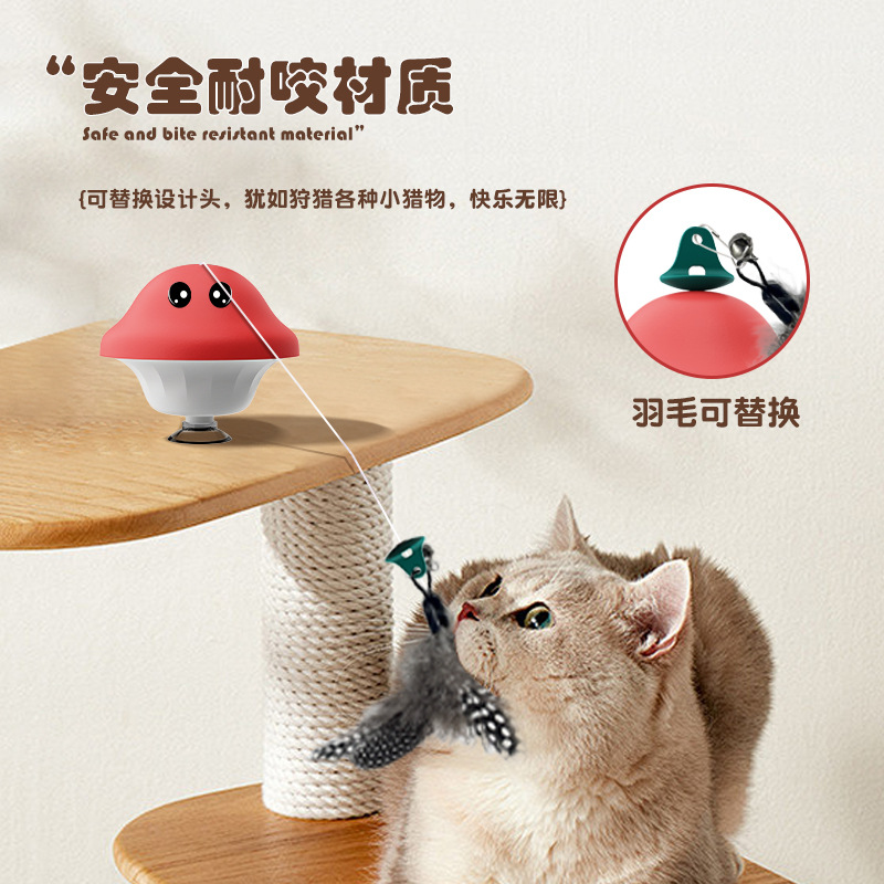 애완동물 용품, 깃털, 교체형 머리, 작은 버섯 고양이 장난감, 즐거움과 심심함 해소 유물, 고양이 막대기, 고양이 장난감