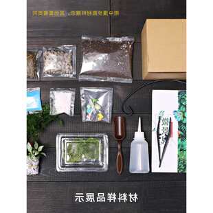 父亲节毕业季DIY苔藓微景观材料包含教程玻璃缸