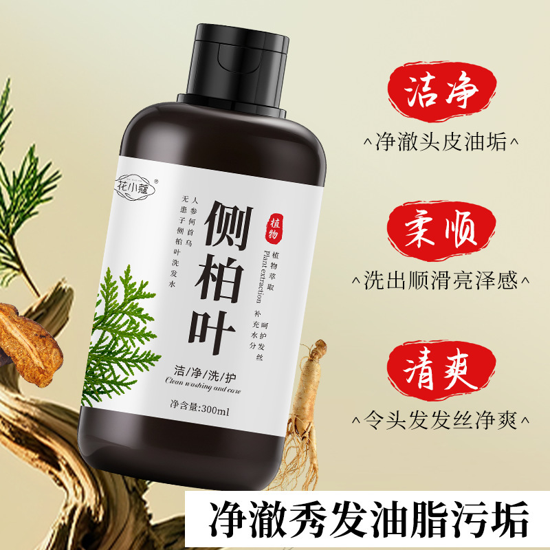 HuangxiaoCao ginseng <unk> <unk> radix <unk> no afectado lateral cypress champú para el cuidado del cabello control de aceite flojo limpio fabricante image 4