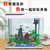 fish tank Aquarium ecology desktop fish tank Landscaping rectangle Glass Goldfish bowl a living room household