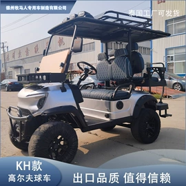 高尔夫球车;电动观光车