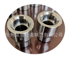  ̨֧ WELDOLET ӹ̨ ֧DN50