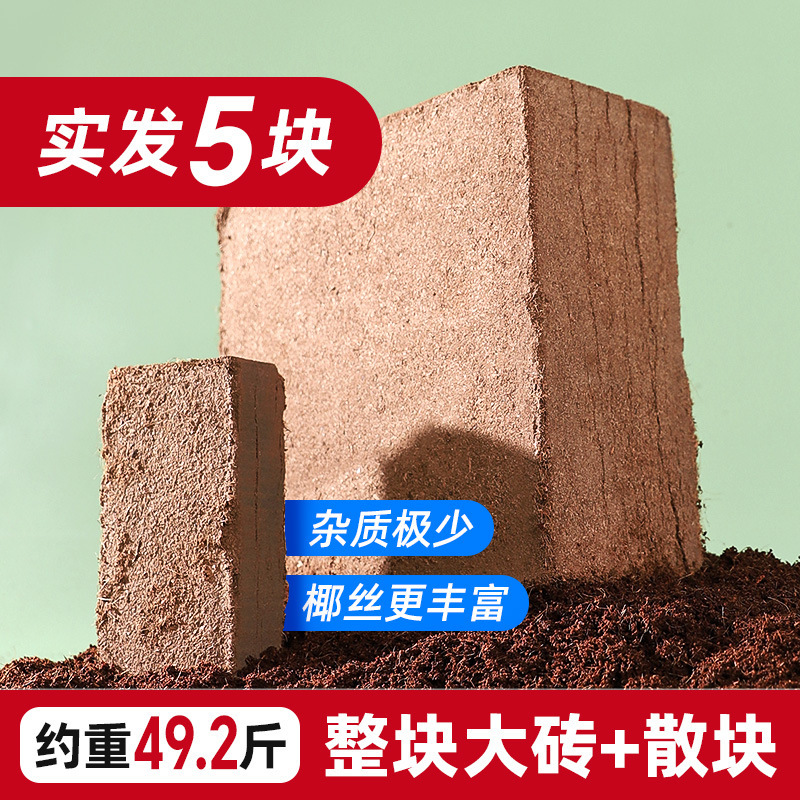 [전체 조각 + 느슨한 조각] 25kg 탈염 초대형 코코넛 벽돌 5개 (330리터 불림)