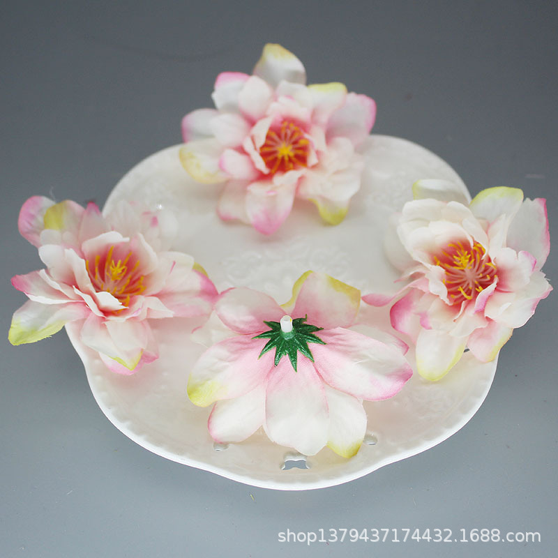 화이트 파우더 코어