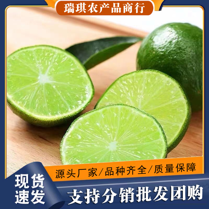 塔西提无籽青柠檬泰国品种无籽香水柠檬果香新鲜皮薄多汁果园现摘