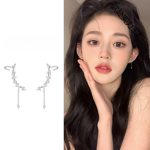 Elegant Zircon Tassel Ear Bone Nail Advanced Design Niche Earrings Exquisite New Style Hot Ear Holes Light Luxury Earrings for Women