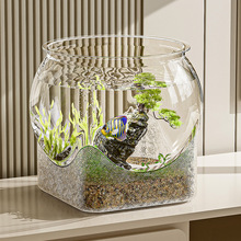 小鱼缸透明简约优选塑料耐磨水族箱耐摔多款式小型桌面水培金鱼缸