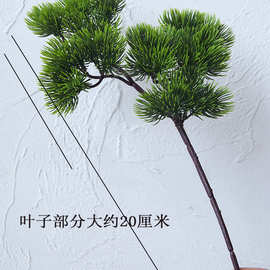 松树枝松针假罗汉松美人松柏树枝松树叶黑松崖柏枝迎客松造景