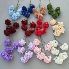 ��֦�ذ������黨����ѩ��С����羳����ٻ���Y�ò廨���